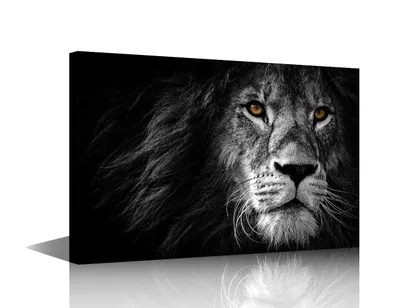 Obraz na płótnie: lew 40×60 cm z ramą, czarno-biały generic